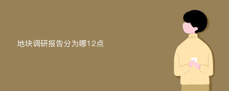 地块调研报告分为哪12点