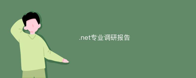 .net专业调研报告